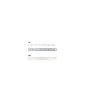 Toledo 300SP Metric Only Stainless Steel Rules - Double Sided