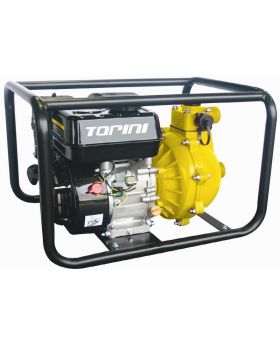 TORINI Fire Fighting Water Pump-6.5hp TWP200